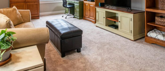 professional carpet cleaning services